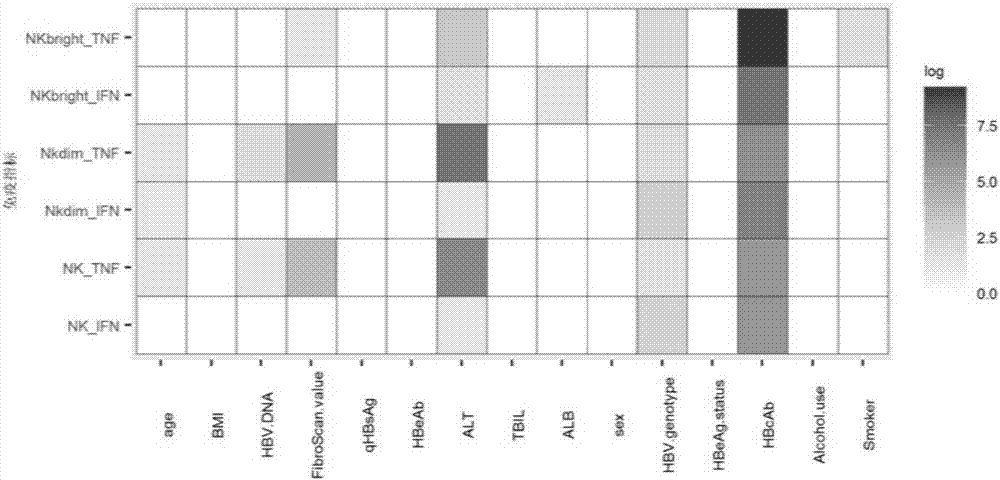 Constructing method of practical model for evaluating hepatitis B hepatopathy NK cell functions