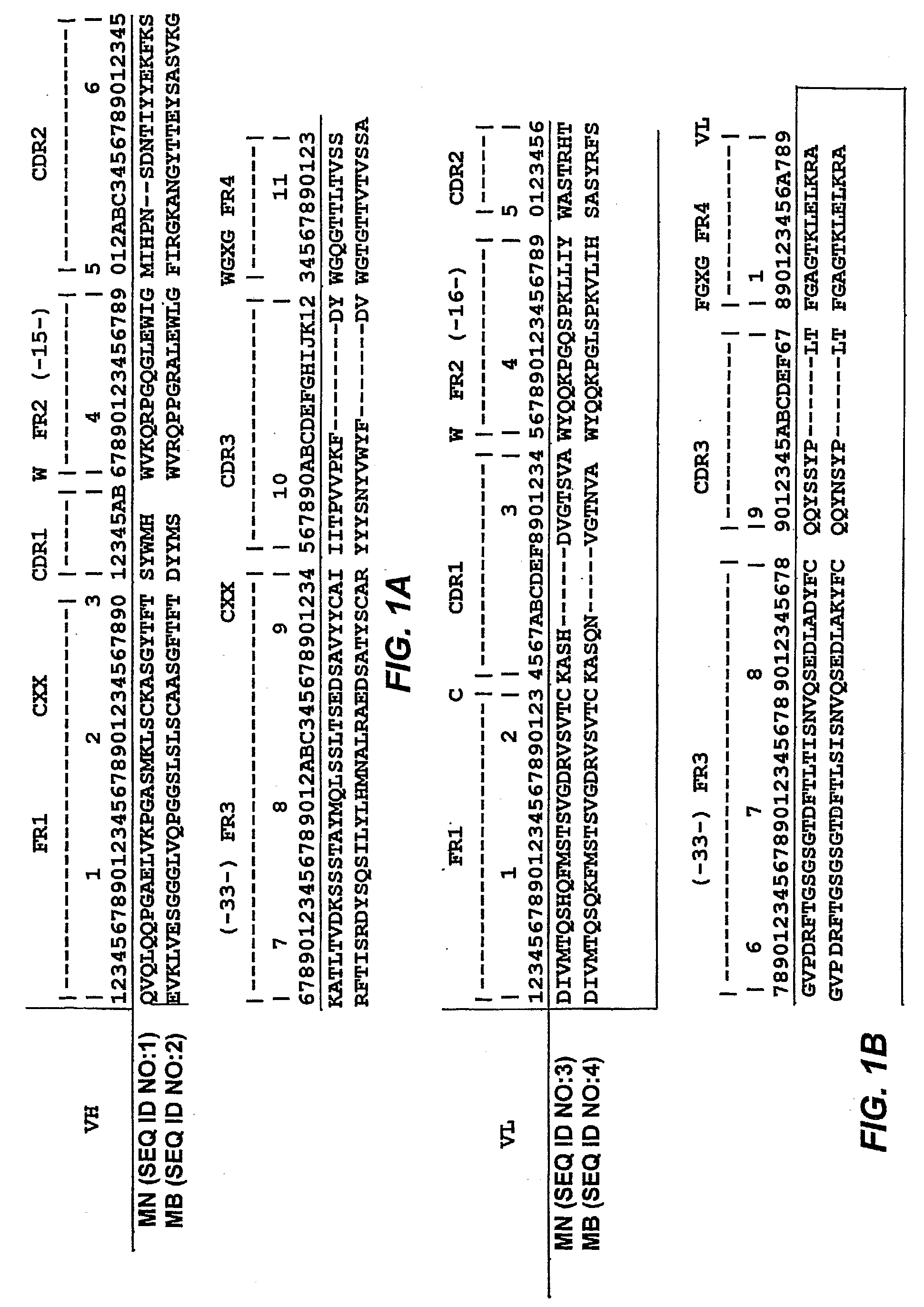 Anti-mesothelin antibodies useful for immunological assays