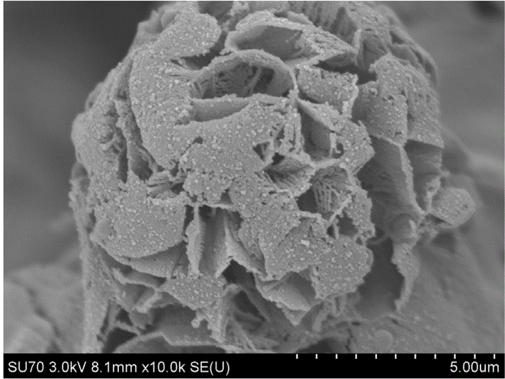 Surface functionalized ordered mesopore nitrogen-doped carbon material and preparation method thereof