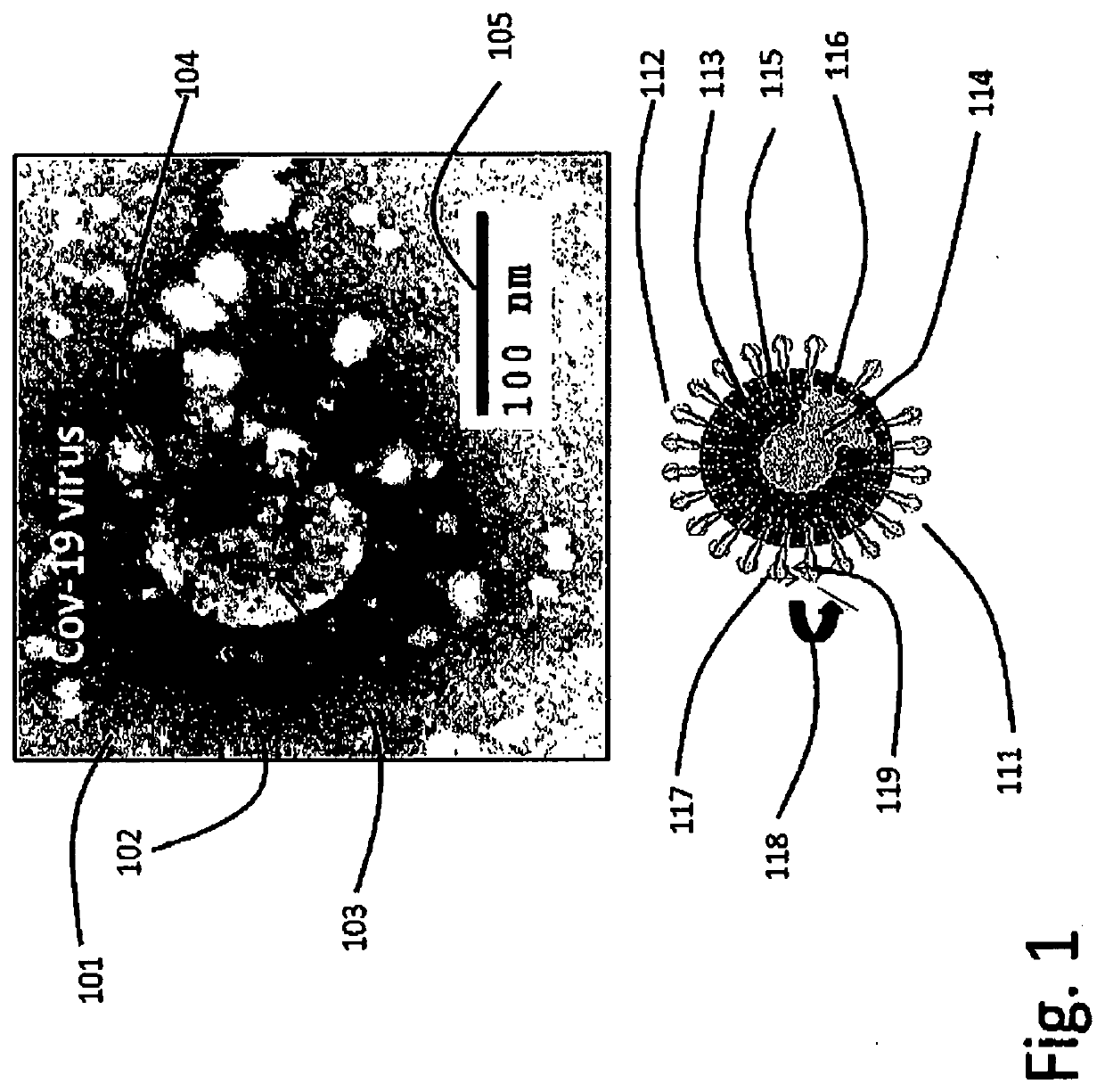 Individual nano-bodies protection of skin and respiratory system