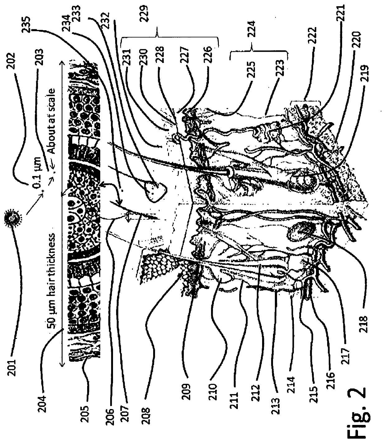 Individual nano-bodies protection of skin and respiratory system