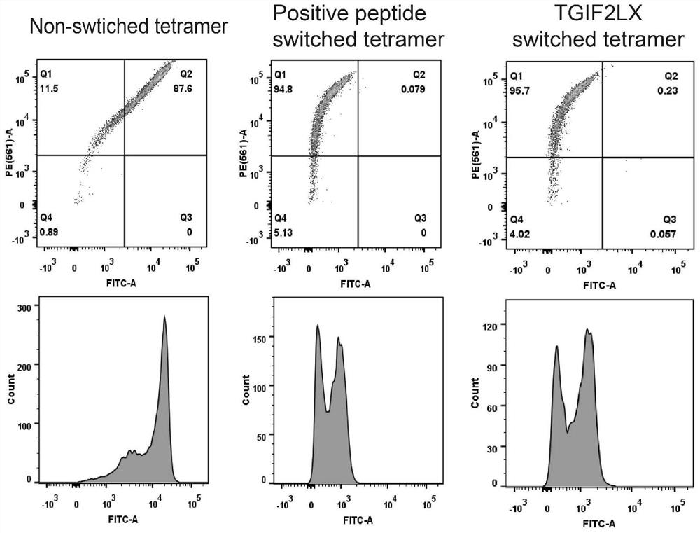 Antigen polypeptide for inducing liver cancer specific cytotoxic T lymphocytes and application of antigen polypeptide