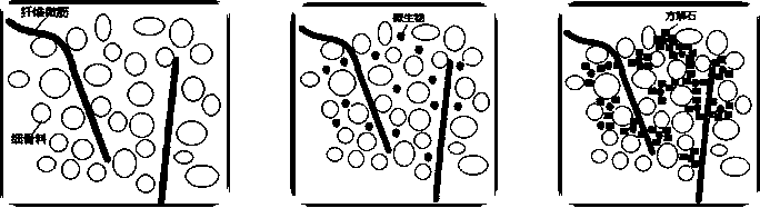 Microbial mineralized fiber micro reinforcement concrete material facing 3D printing and preparation method thereof