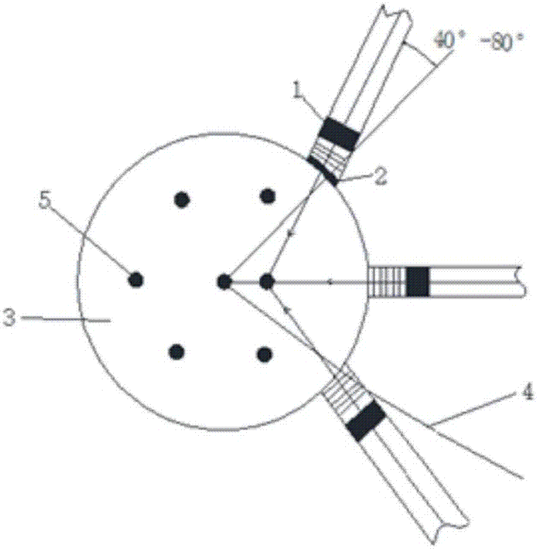 Crystallizer capable of controlling crystallization and nucleation process through ultrasonic wave