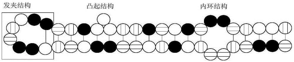 Overhead crane neural network modeling method based on RNA genetic algorithm of hairpin mutation operation