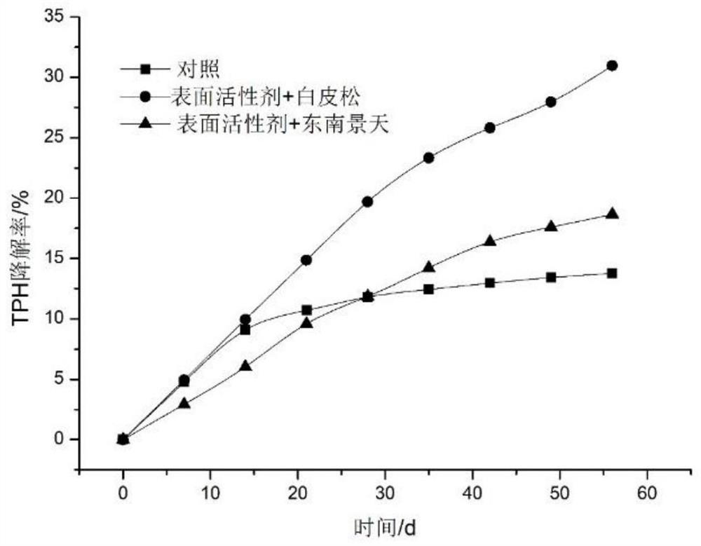 A combined engineering bacteria-plant method for remediating waste oil-based drilling fluid deposits