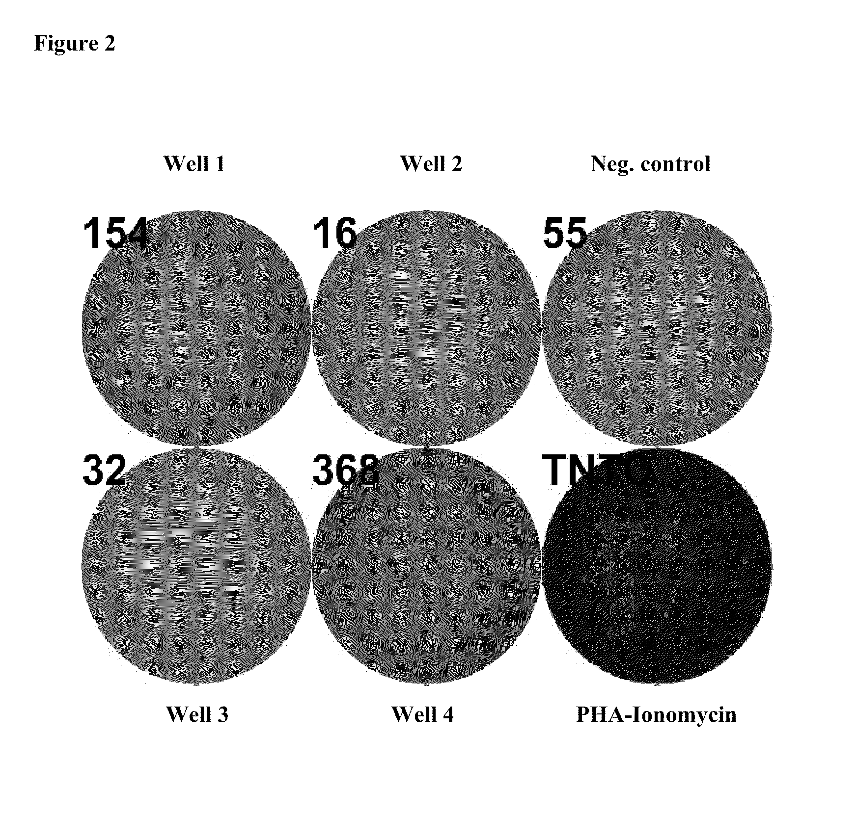 Composition of tumour-associated peptides and related anti-cancer vaccine