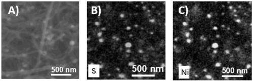 Nano-network structural carbon material with carbon nanotube core@functional amorphous carbon shell unit and preparation method and application thereof