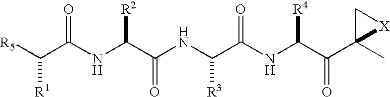 Compounds for enzyme inhibition