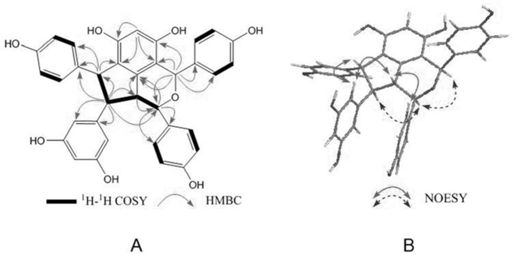 cystestermerol A and its application in improving diabetes