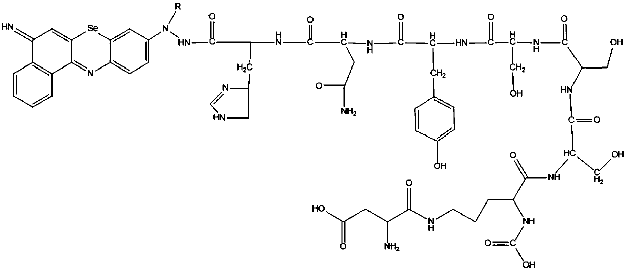 Targeted cell-penetrating peptide photosensitizer and preparation method and application thereof