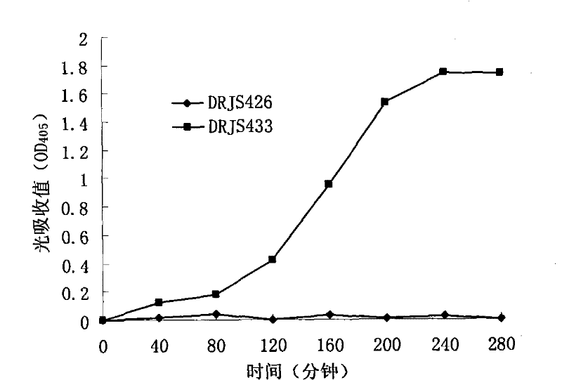 Preparation of recombinant spore with surface for displaying lipase having catalytic activity