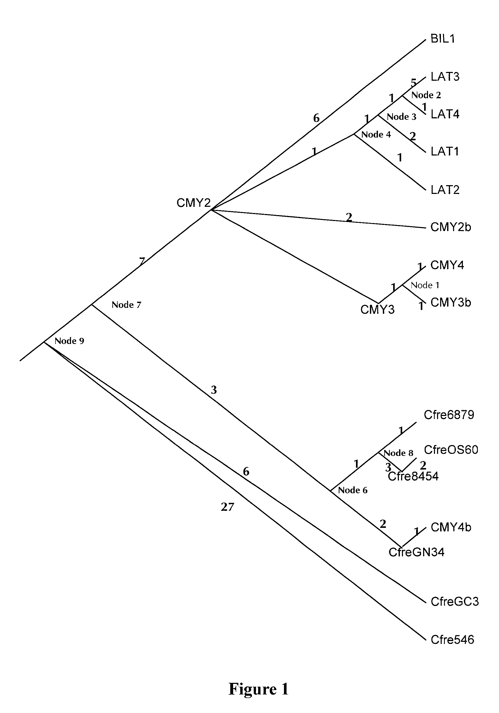 Method of identifying putative antibiotic resistance genes