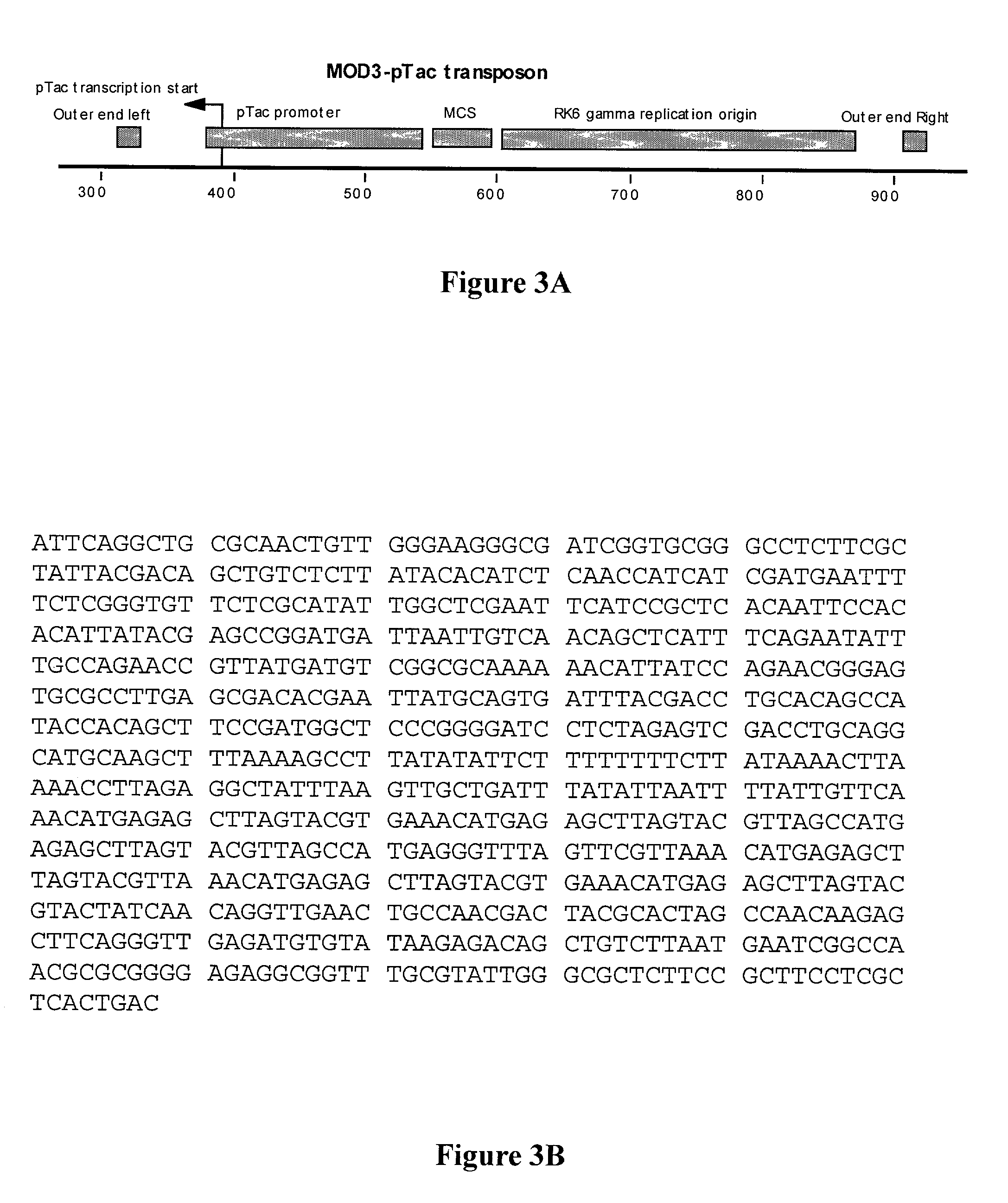 Method of identifying putative antibiotic resistance genes