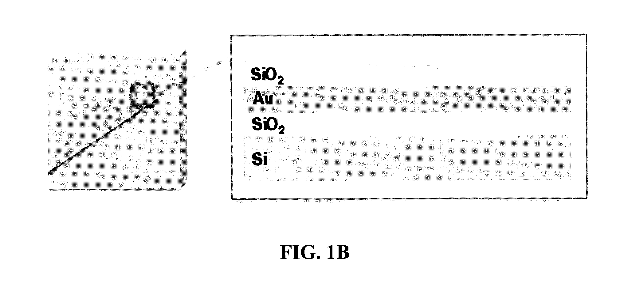 Nanostructured microelectrodes and biosensing devices incorporating the same