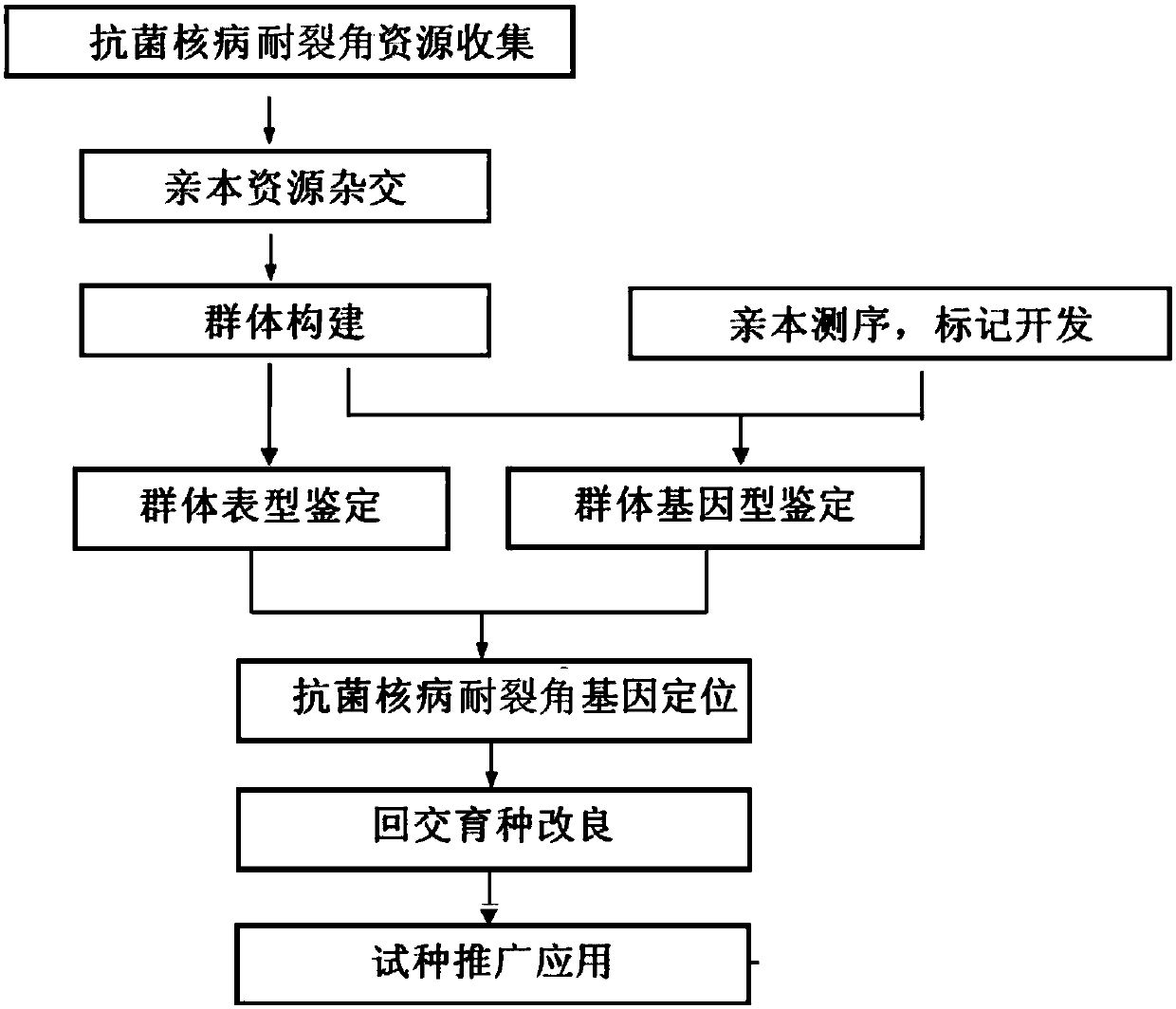 A Rapeseed Breeding Method Using Gene Mapping Technology