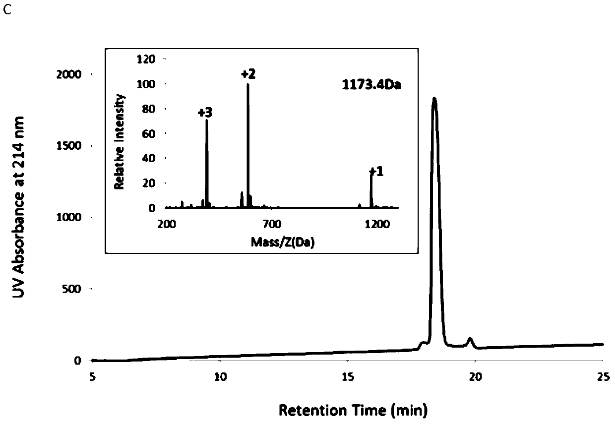 Polypeptides having bradykinin receptor binding activity and uses thereof