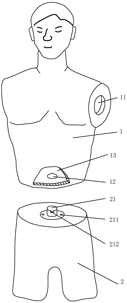 Waist connecting structure of model