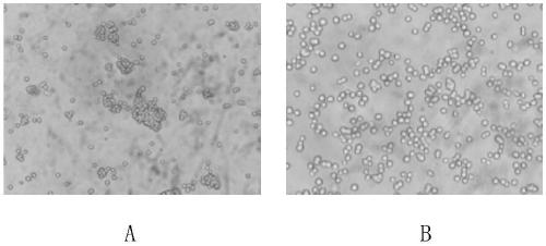 Preparation method and product of avian influenza vaccine