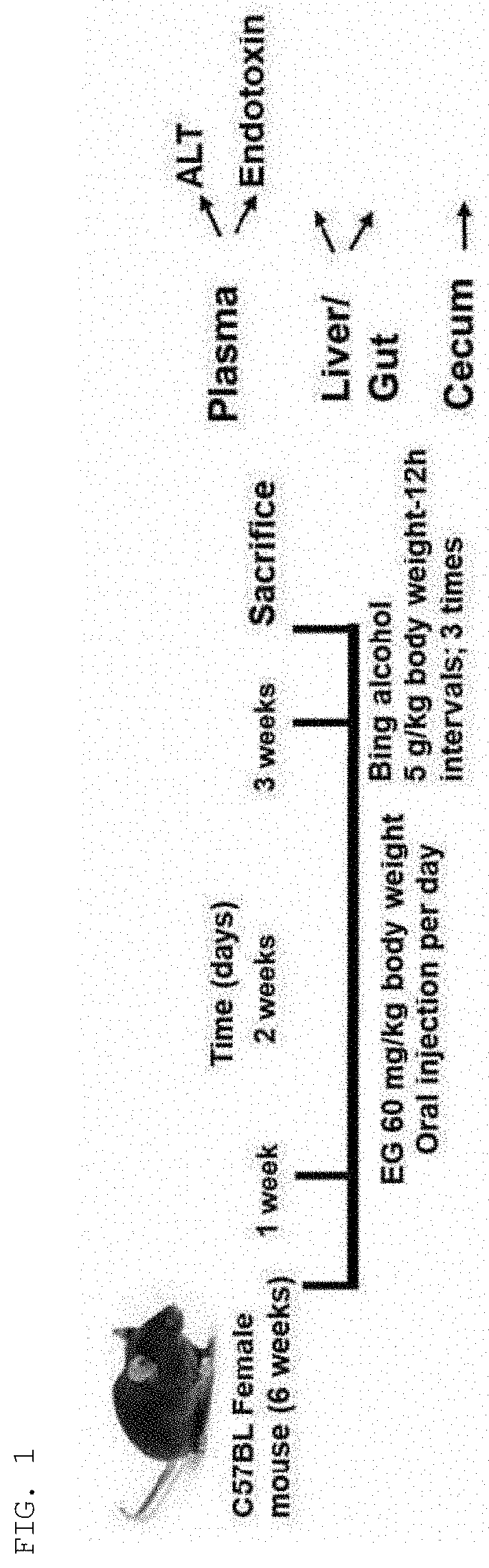 Intestinal microbiome-improving composition including ellagic acid as active ingredient