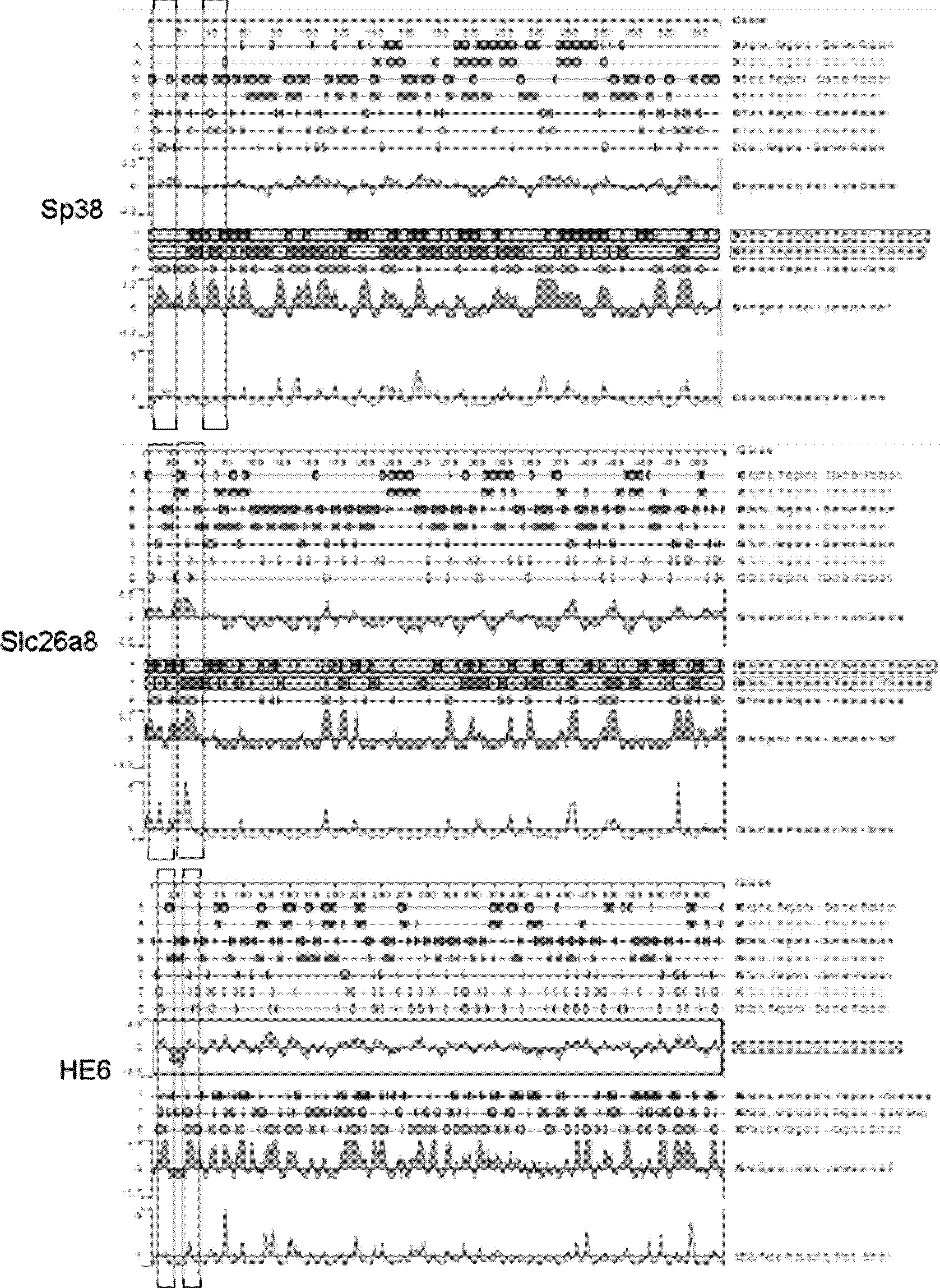 Mouse-specific anti-fertility polypeptide