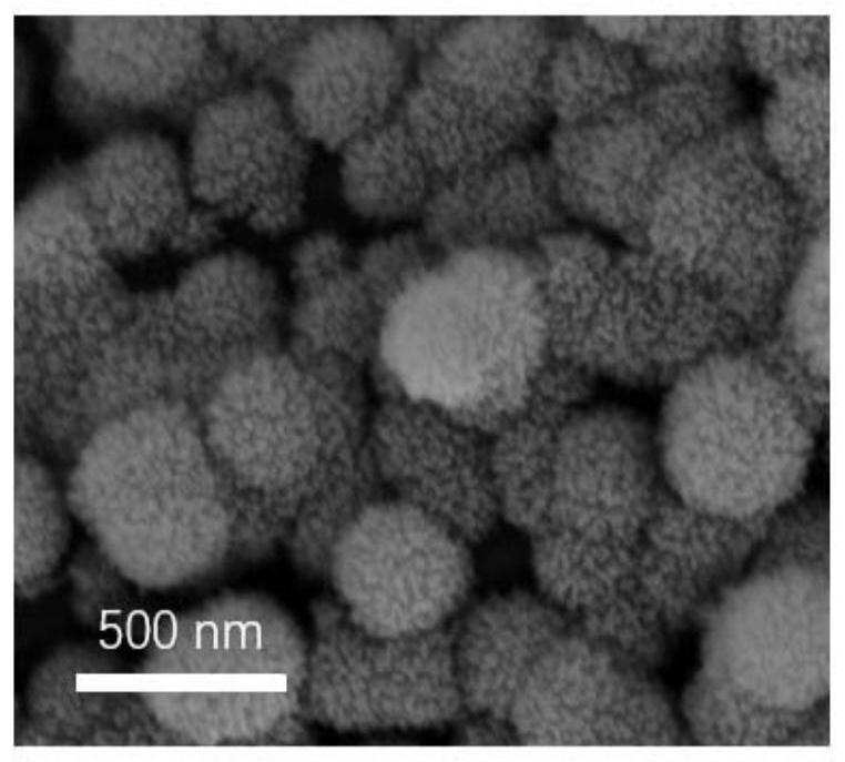 A solar-assisted energy-saving rechargeable organic lithium-sulfur battery