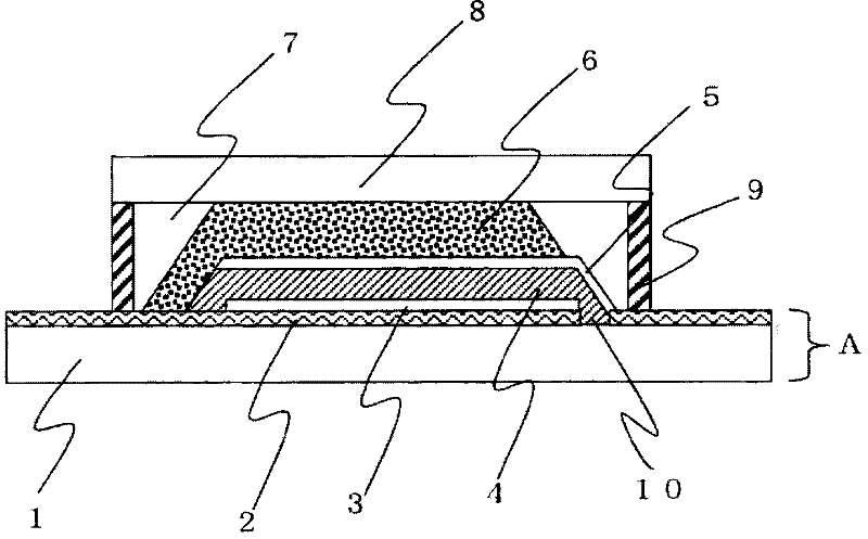 Dye-sensitized solar cell and dye-sensitized solar cell module