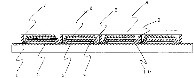 Dye-sensitized solar cell and dye-sensitized solar cell module