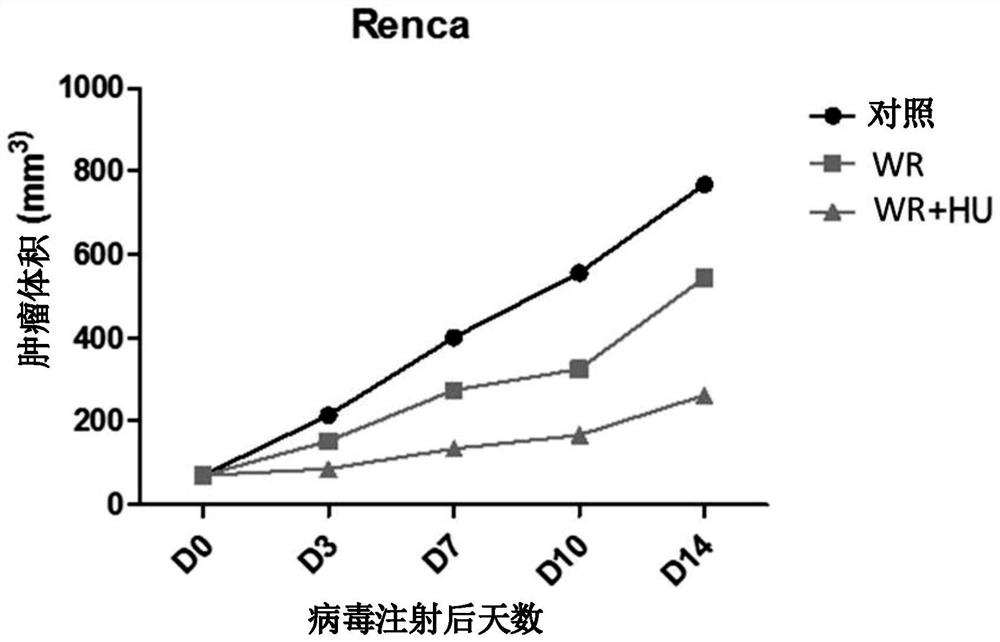 Pharmaceutical composition for treating cancer comprising vaccinia virus and hydroxyurea as active ingredients