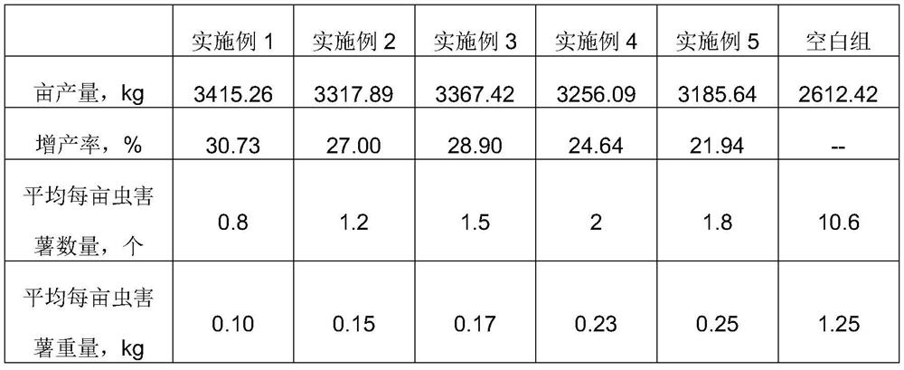 A kind of biological pesticide that promotes plant growth and improves immunity and preparation method thereof