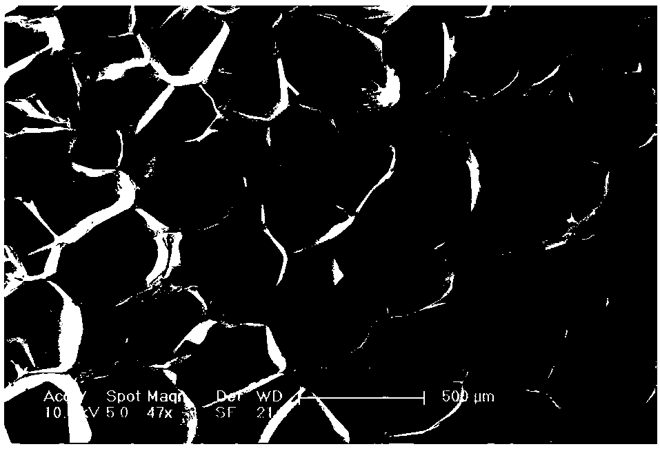 Fine-cell polyvinyl chloride foam material and preparation method thereof