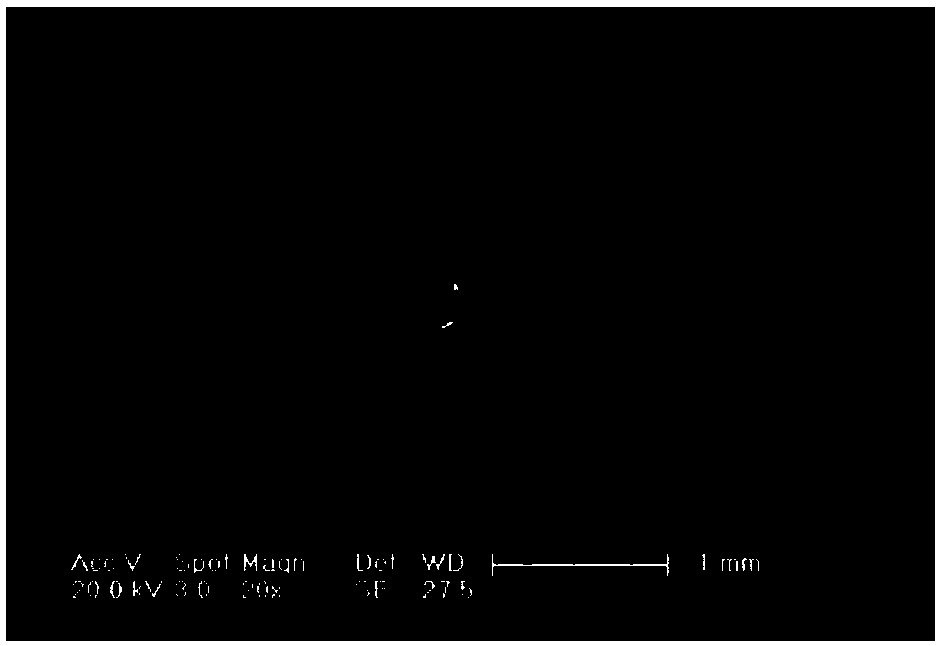 Fine-cell polyvinyl chloride foam material and preparation method thereof