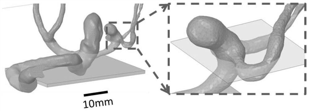 Manufacturing method of personalized transparent silicone model based on soluble material