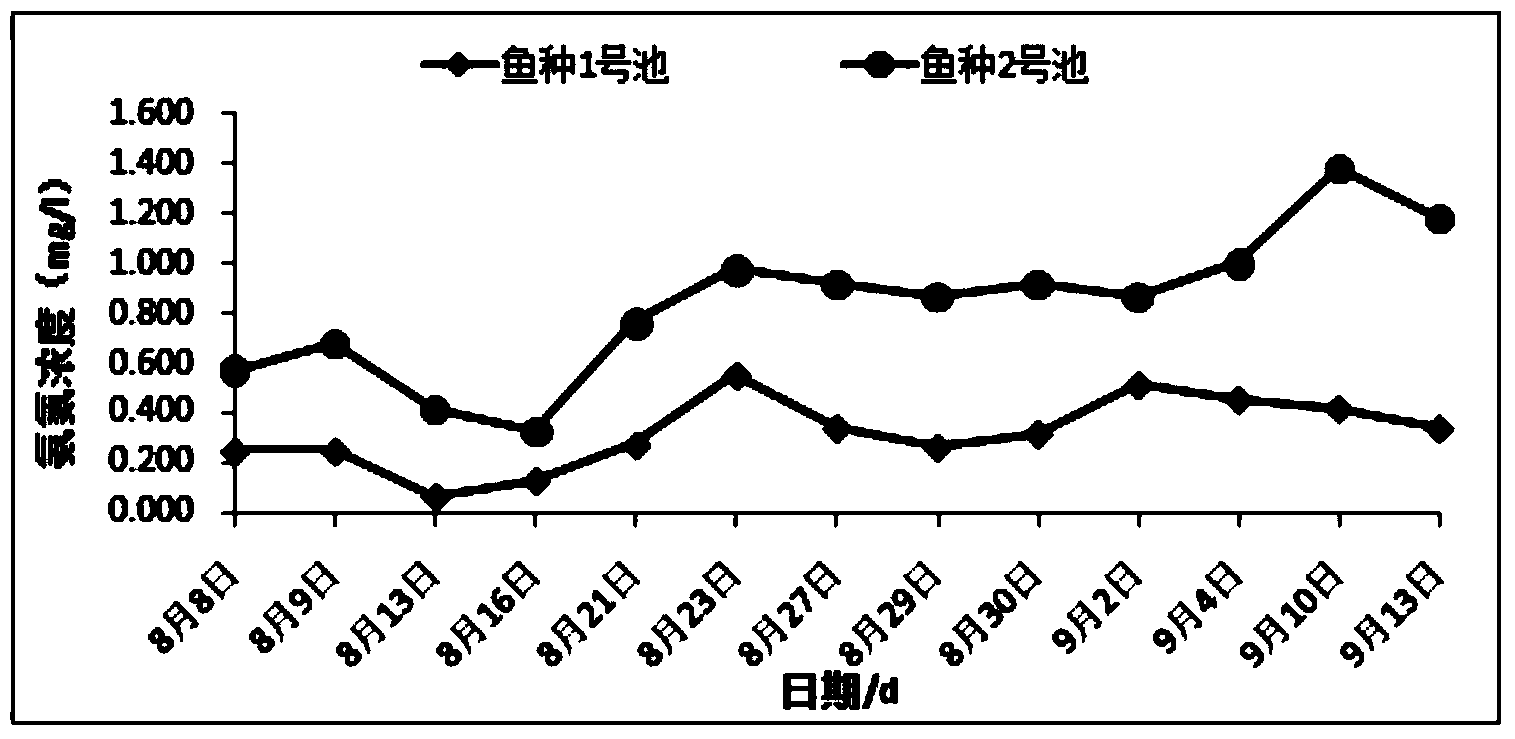 Biological agent capable of lowering ammonia nitrogen in intensive culture pond as well as preparation method and using method of biological agent