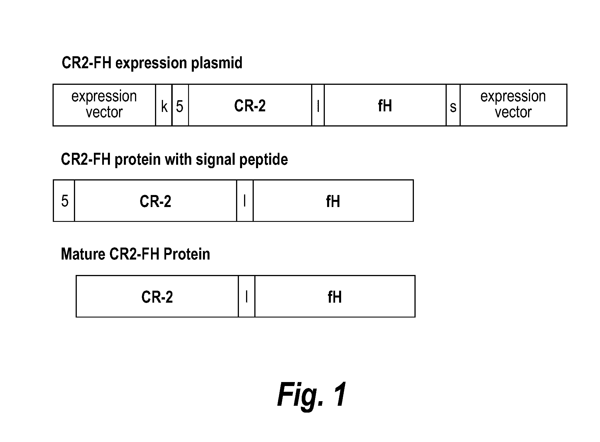 Treatment of graft rejection by administering a complement inhibitor to an organ prior to transplant