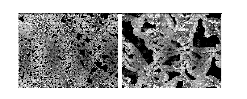 Method for preparing fibrillar meshwork structure conducting polypyrrole film by interfacial polymerization