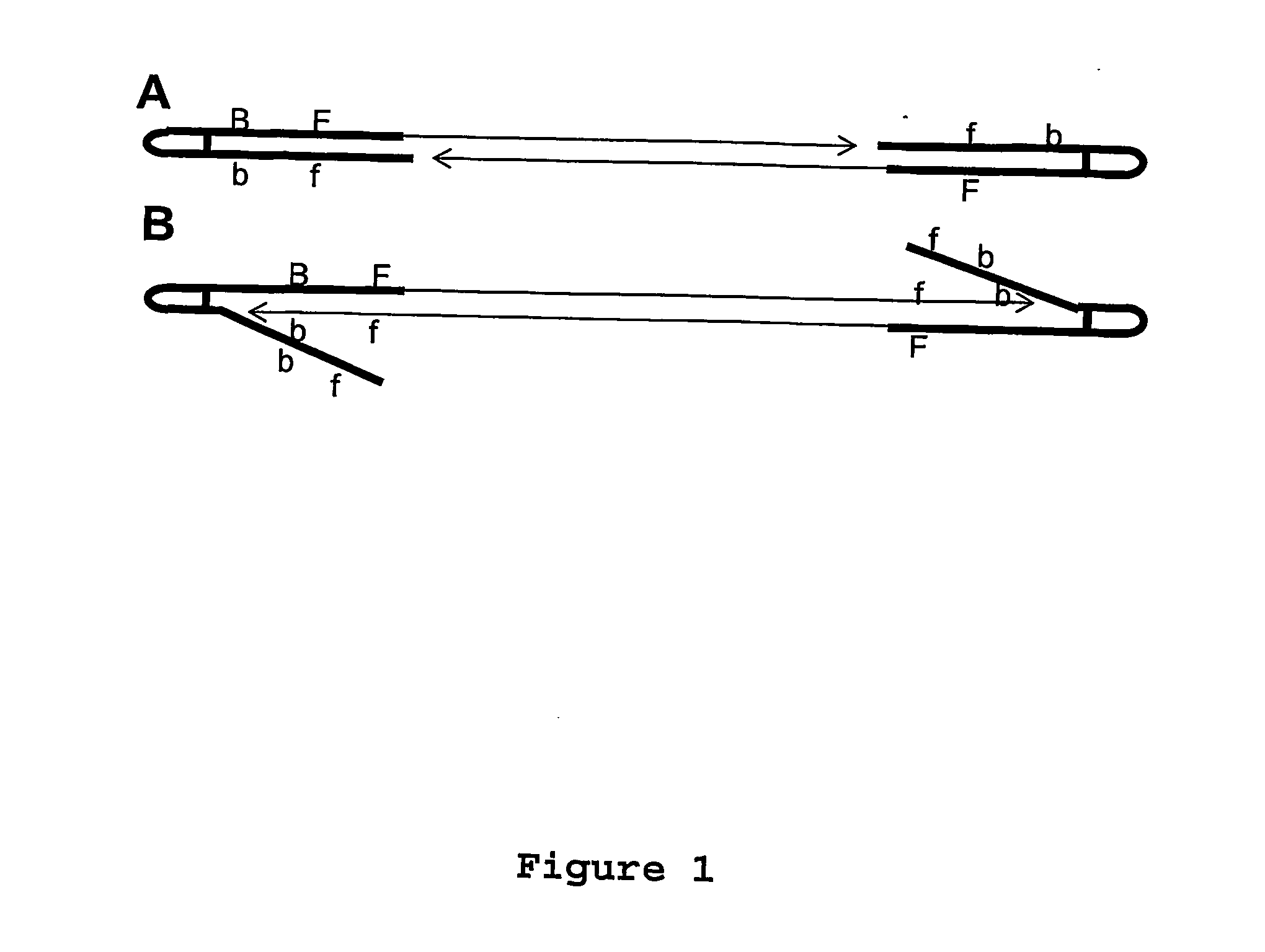 Random array dna analysis by hybridization