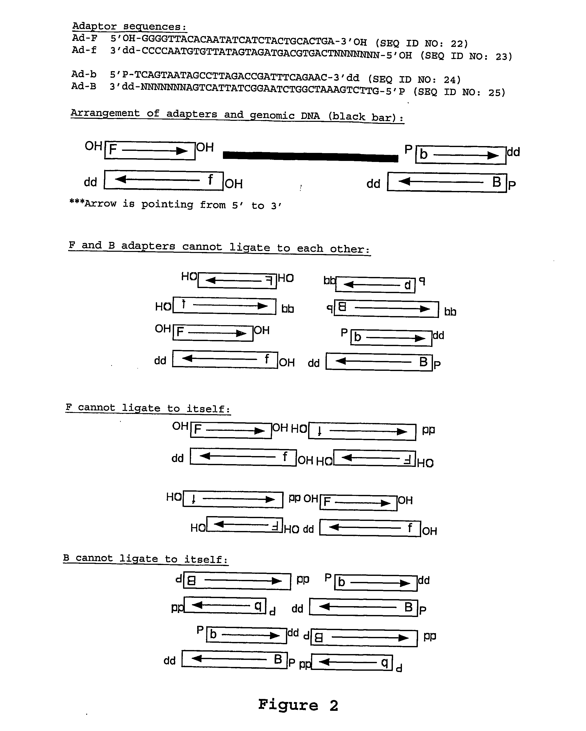 Random array dna analysis by hybridization