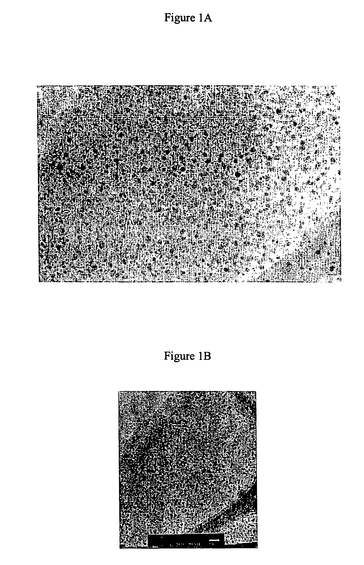 Electric double layer capacitors, capacitor materials and methods of making the same