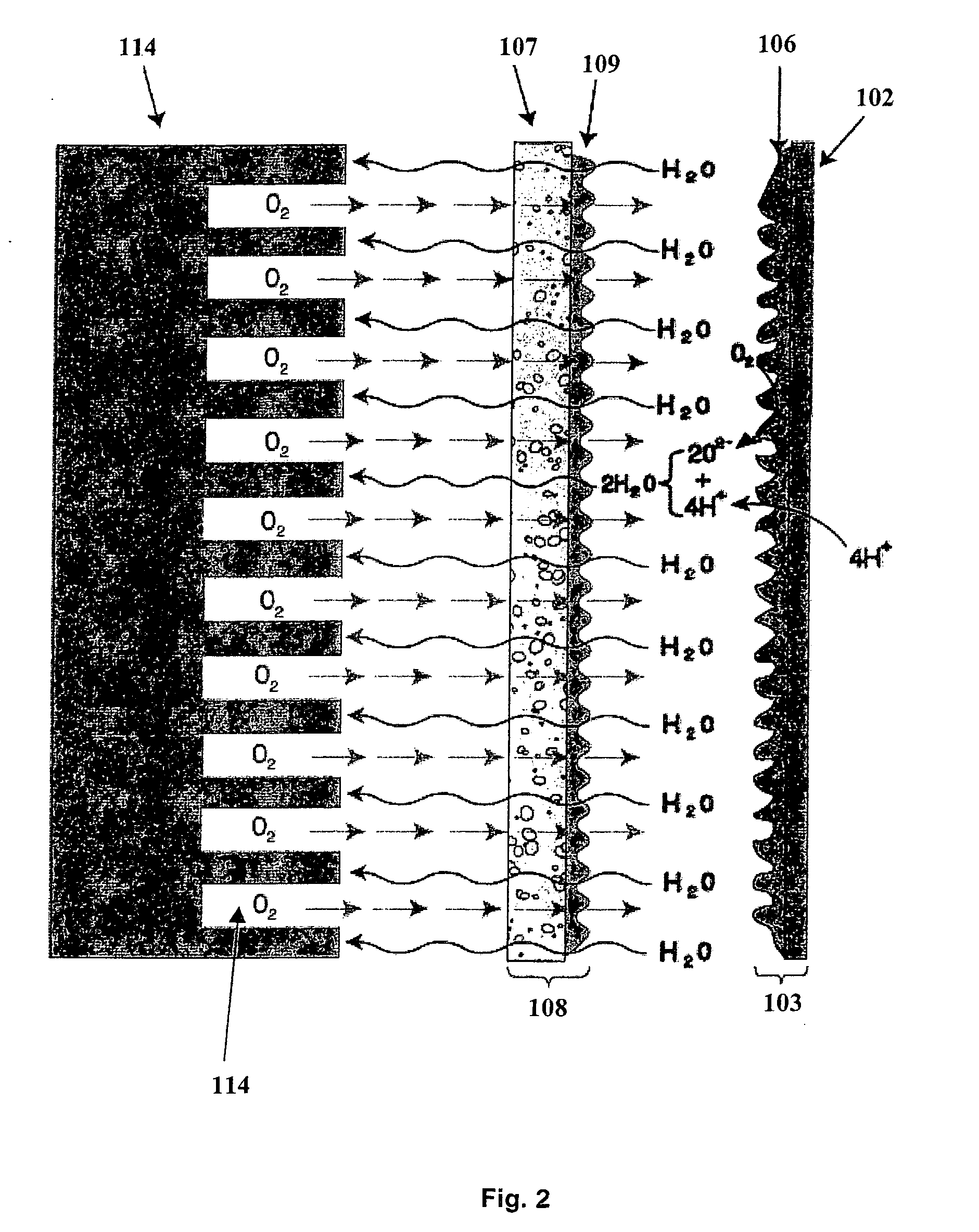 Modified carbon products, their use in electrocatalysts and electrode layers and similar devices and methods relating to the same