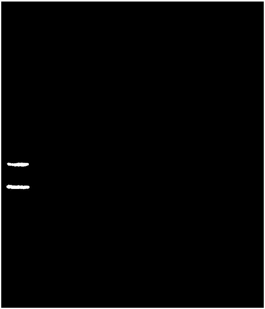 Polypeptide with resistance to gram-positive bacteria