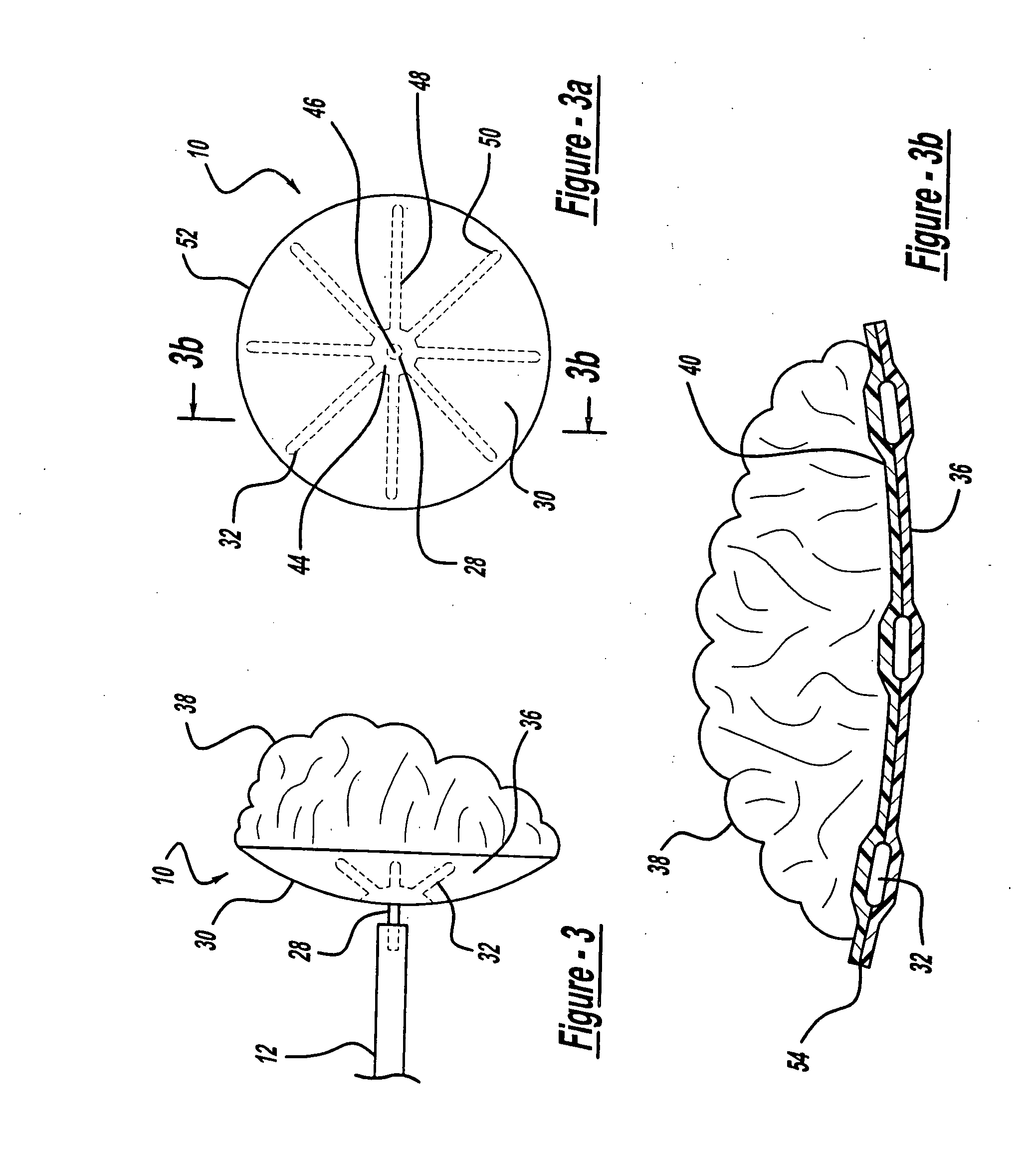 Aneurysm embolic device with an occlusive member