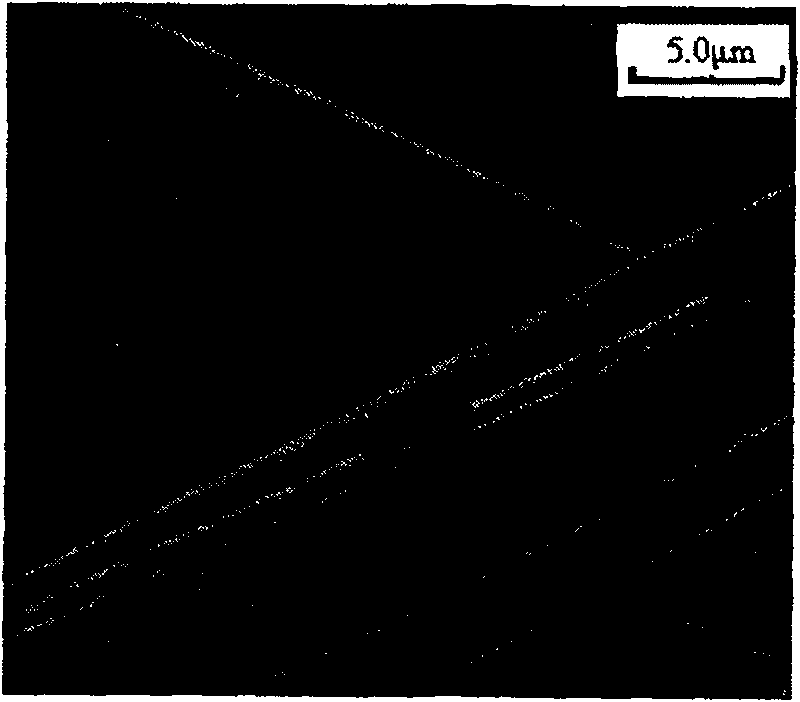 Supported optical catalyst preparation method