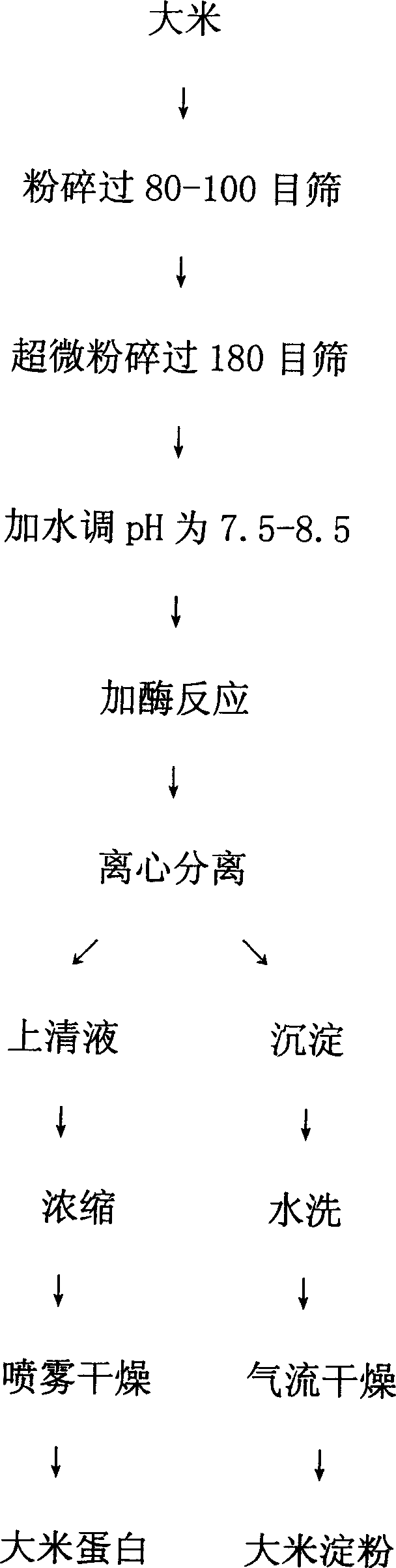 Process for preparing rice starch and rice protein