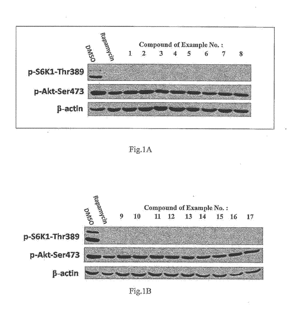 A Rapamycin Derivative, and a Preparation Method, Pharmaceutical Composition and Use Thereof