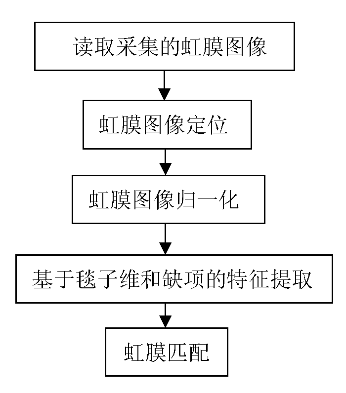 Iris identification method based on blanket dimension and lacunarity