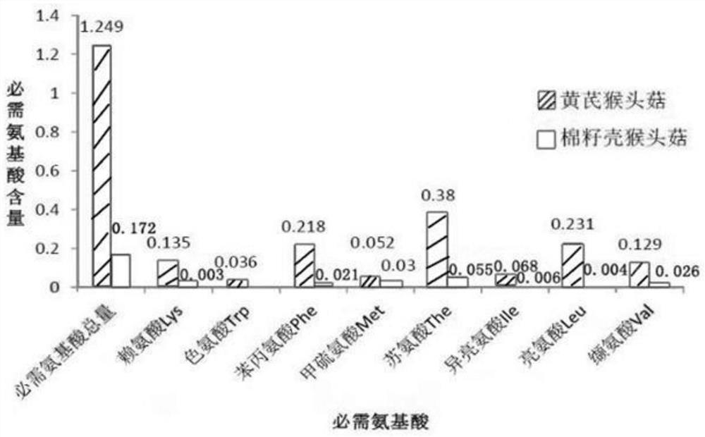 Culture material for increasing amino acid content of Hericium erinaceus, preparation method and application