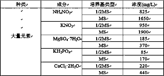 Tissue culture method for succulent plant