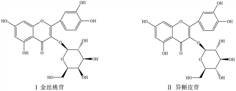 A method for separating and purifying hyperin and isoquercitrin from goldenflower sunflower