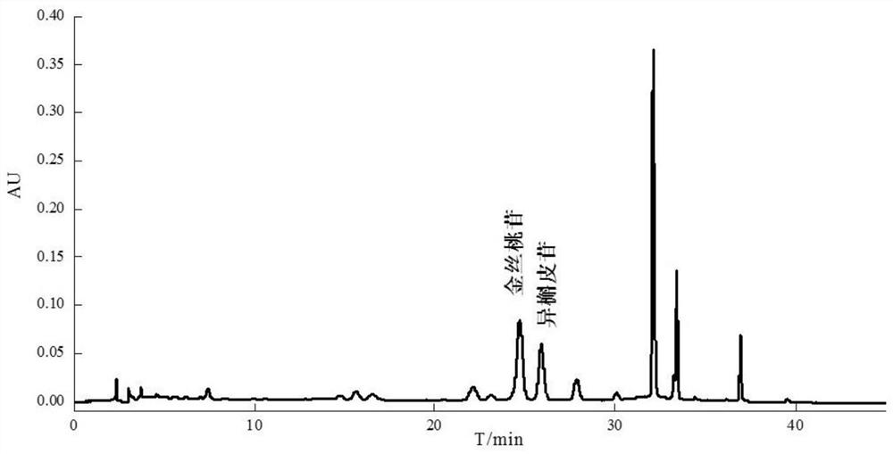 A method for separating and purifying hyperin and isoquercitrin from goldenflower sunflower